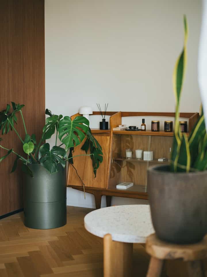 Bedroom模様替え🍂

#bedroomdecor #観葉植物のある暮らし
