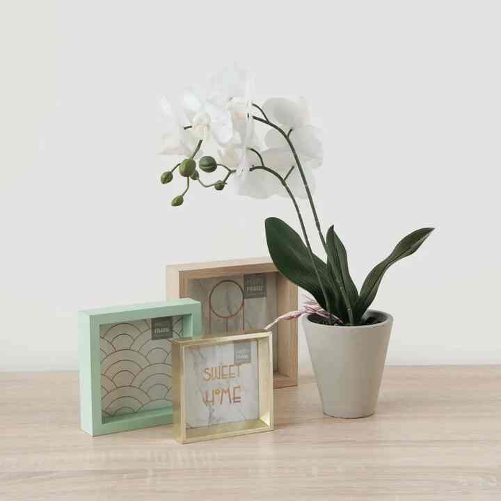 Bunga Anggrek Artifisial