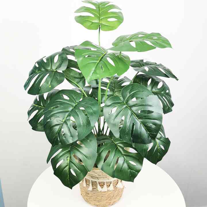 Tanaman Monstera Palsu