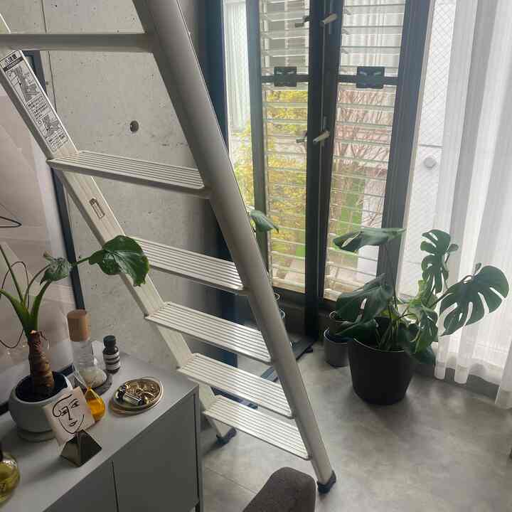 ナチュラルな色調のベランダ隣接スペース、大きなモダンな観葉植物と白いはしご、グレーのチェストが調和した雰囲気のあるインテリア