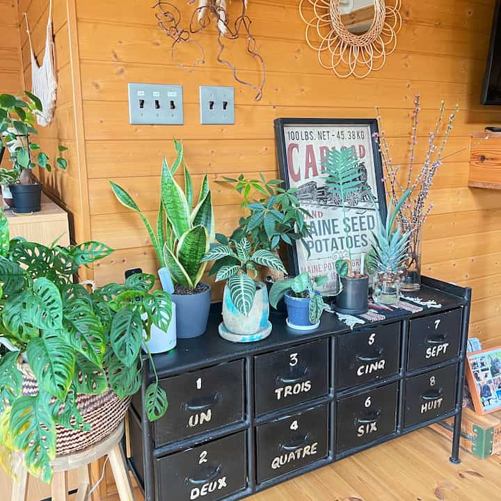 ナチュラルな木目調の壁と床、黒のヴィンテージ収納家具、植物が豊富に置かれたリビング空間
