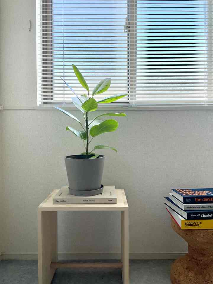 明るい白い壁と木調のスツールの上に置かれた緑色の観葉植物が配置されたシンプルでナチュラルな雰囲気のインテリア