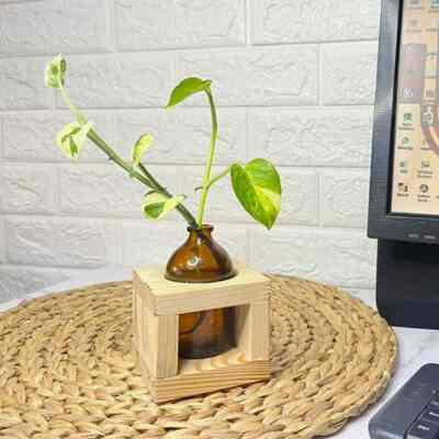 Vas bunga botol coklat