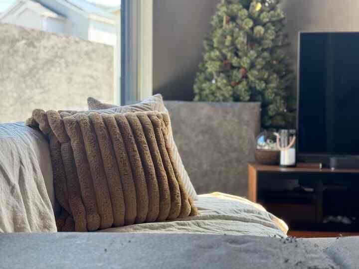 ブラウンのクッションが置かれたソファとテレビが配置されたリビング、自然で落ち着いた雰囲気のインテリア