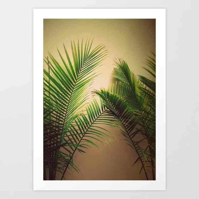 Palms Art Print
