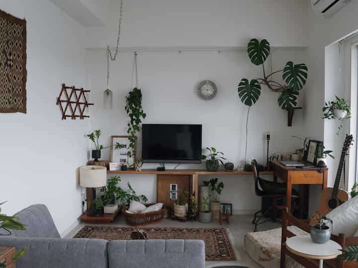 Natural-toned living room featuring a vintage clock and numerous plants with a cozy atmosphere