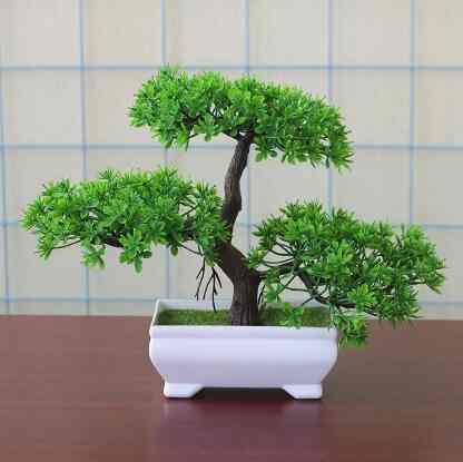 Dekorasi Pohon Bonsai
