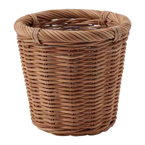 KAKTUSFIKON, Pot tanaman, rotan, 12 cm