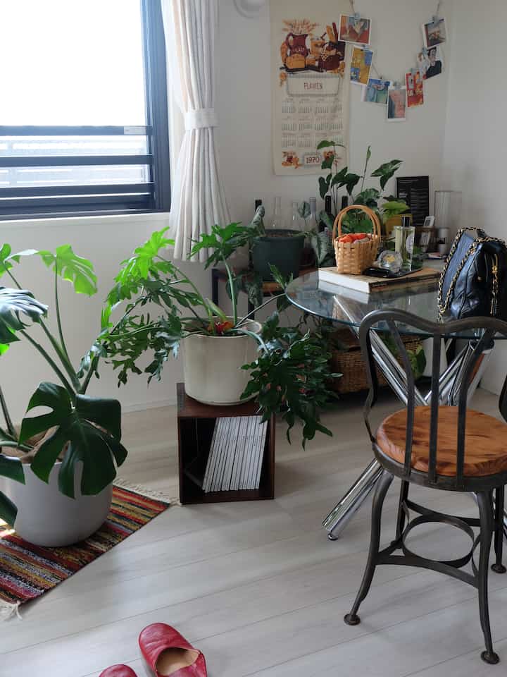 まだまだ模索中のリビングダイニング🤳

ACMEfurnitureのトロイボックスは雑誌が沢山入って収納にとっても便利！

#ACMEfurniture #観葉植物 #観葉植物のある暮らし #インテリアグリーン #トロイボックス #ガラステーブル #ダイニングテーブル #リビングダイニング #丸テーブル