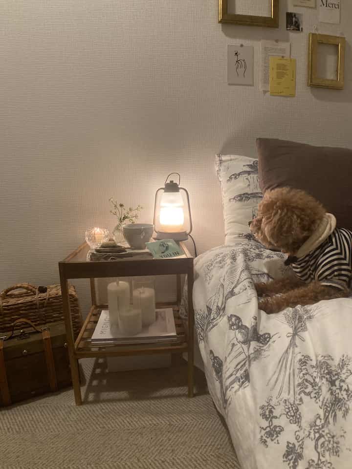 Natural wood tone bedroom featuring a nightstand and cozy bedding with a dog resting on the bed, creating a warm atmosphere