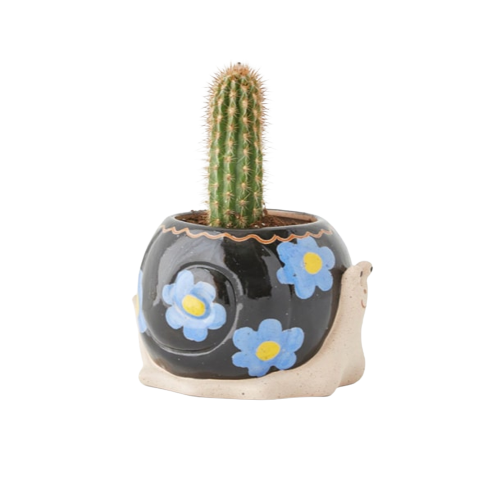 カタツムリプランター