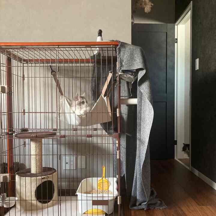 グレーの色調の室内、小型ペットケージと木製の床がある落ち着いた雰囲気のインテリア