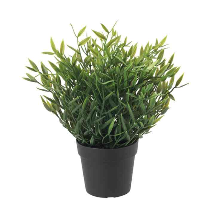 FEJKA, Tanaman tiruan dalam pot, dalam/luar ruang pogonatherum, 9 cm