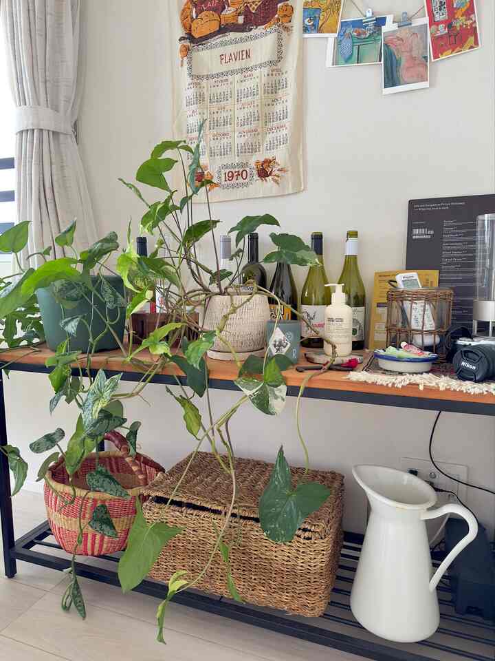 TVボードとして買ったローシェルフ。
結局テレビは置いてないけど、観葉植物だったりワインボトルだったり、リモコンだったり細々したものを置けて便利！

下にもスペースがあるのがお気に入りポイント。
可愛いカゴを置けばインテリアにも♪

#シーグラスバスケット #バスケット #カゴ #カゴバック #ローシェルフ #棚 #見せる収納 #観葉植物 #インテリアグリーン #観葉植物のある暮らし #テレビボード #ガラステーブル #ピッチャー #花瓶 #イケア #IKEA #zarahome #ザラホーム 