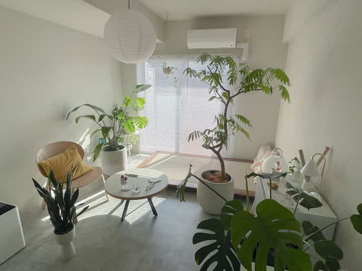 Natural style living room in white and wood tones, featuring numerous plants and a tatami-style seating area, creating a cozy atmosphere