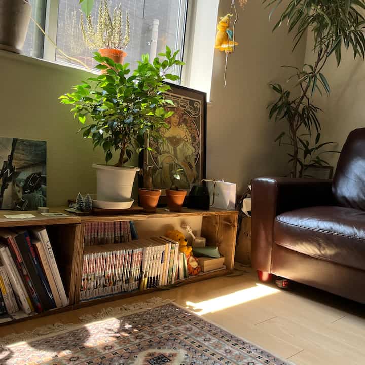 自然な木目調の床とブラウンのソファ、書棚が配置された居心地の良いリビングルーム、暖かな日差しが差し込む空間。