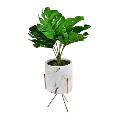 Tanaman Hias Monstera Artifisial