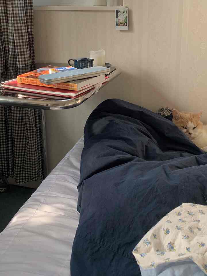 Cozy bedroom with white walls and navy bedding, featuring a steel side table beside the bed and a cat comfortably curled up