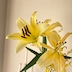 rivmilii