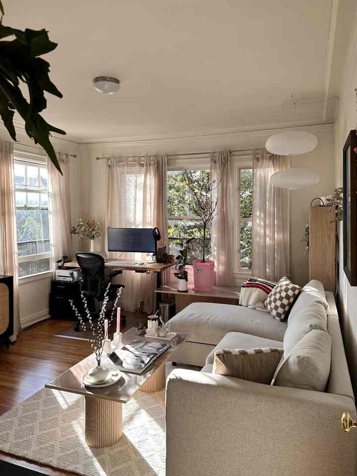 filled with sunlight #SanFrancisco