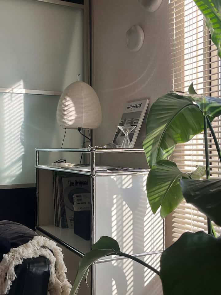 Natural-toned living room corner featuring a white floor lamp and green plant with warm sunlight ambiance