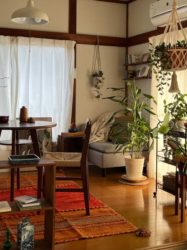 Natural color studio apartment living room featuring vibrant plants and wooden furniture with a cozy atmosphere