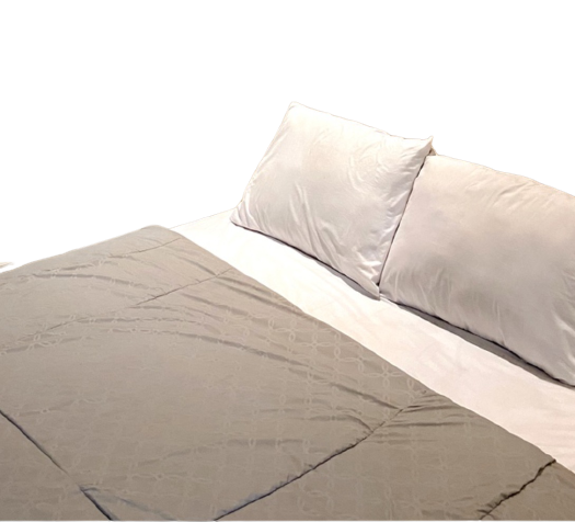 Bedcover Only / Grey