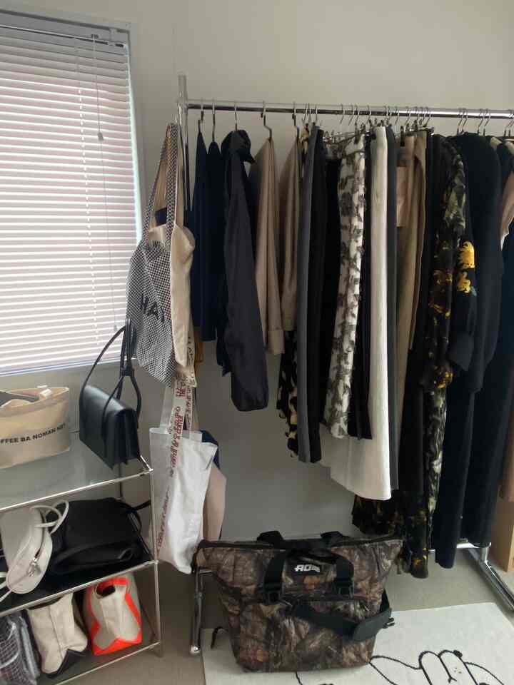 White-toned walls and blinds in a walk-in closet featuring black and beige clothing on a rack, stainless steel storage shelving with bags, creating an organized space