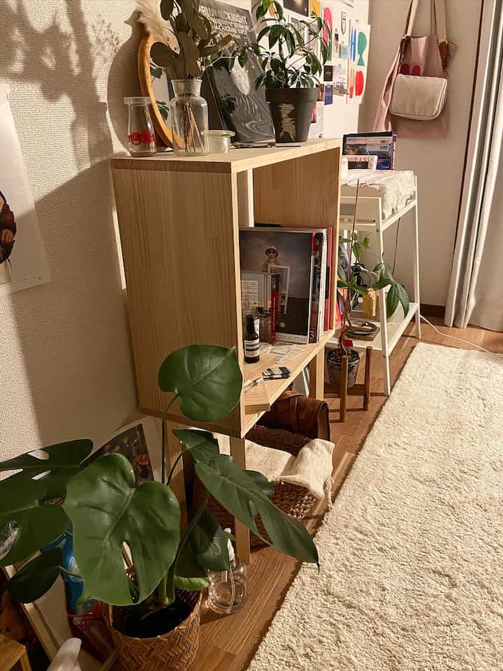 Natural wood tone living room featuring green plants and warm cozy atmosphere