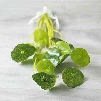 Daun artificial teratai akar