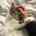 catlover3