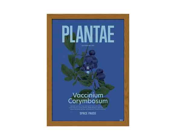 ブルーベリー ポスター