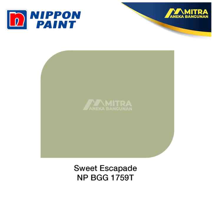 CAT TEMBOK EKSTERIOR INTERIOR