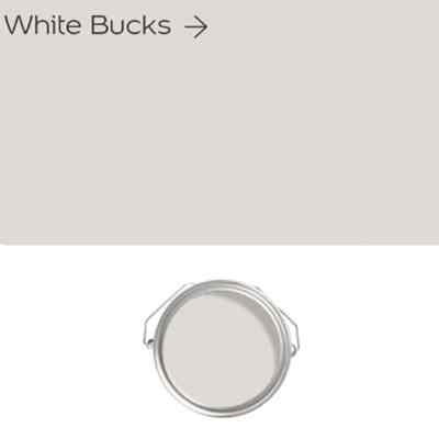 White Bucks/Chrysan White 44544