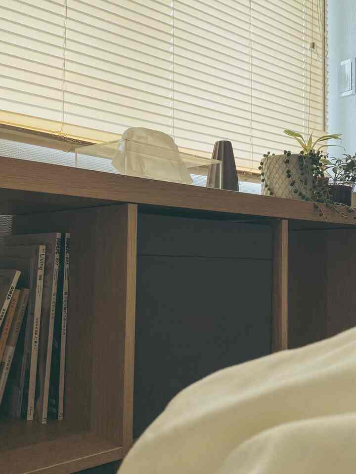 白と木目調が調和した1LDKのリビング、木製の棚に本や小さな植物が置かれた雰囲気のあるインテリア