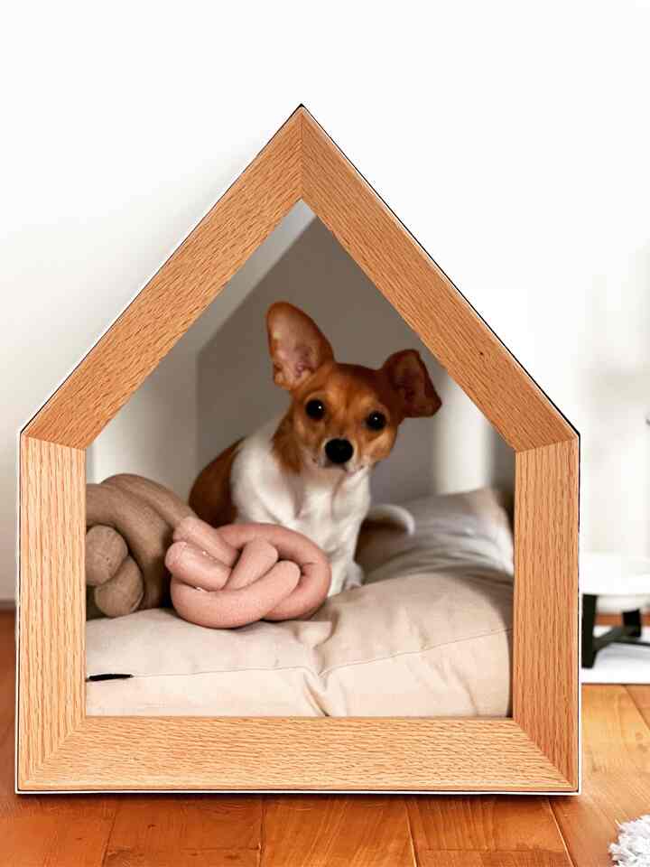 白い背景と木目調フレームのペットハウス内にクッションと小犬がいる、温かみのある空間