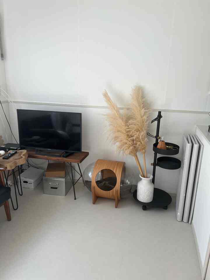 白を基調とした小さなリビング、木製家具と透明なペットハウスが配置された自然な雰囲気のあるインテリア