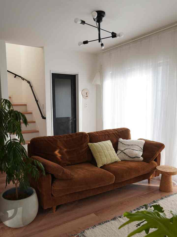 ブラウンのソファと白い壁、大きな観葉植物、白いカーテンが配置された自然な雰囲気のリビングルーム