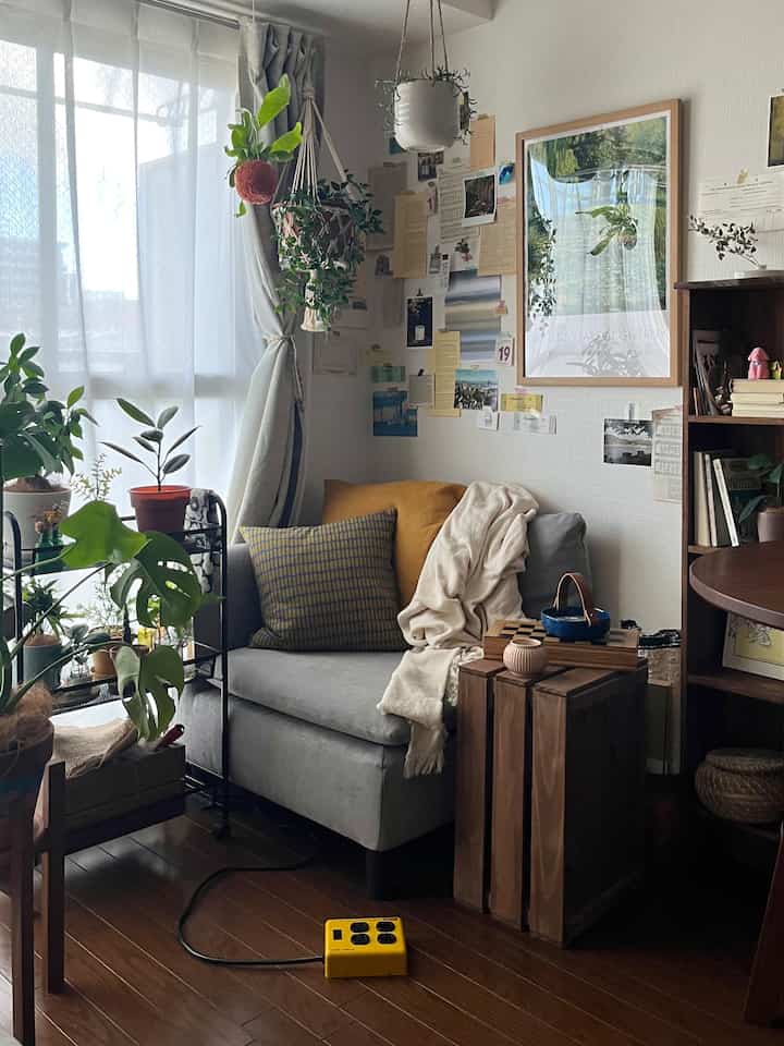 Natural tone living room with white walls and wood floor, featuring a gray sofa with cushions and plants in a cozy single household setting