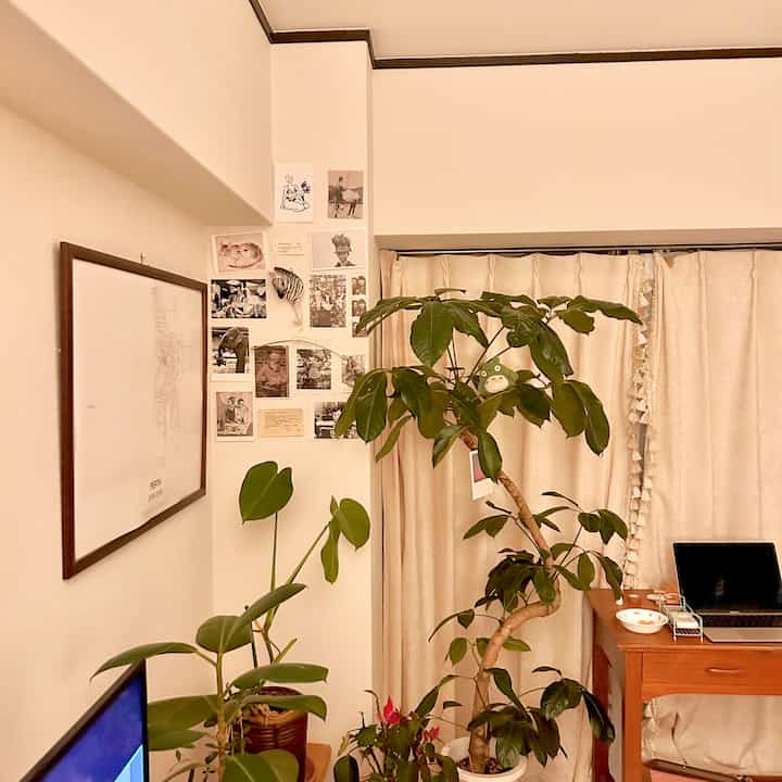 ベージュと木目調の落ち着いた空間、中央に大きな観葉植物が配置された雰囲気のあるインテリア。