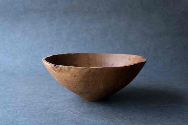 22-KF81 ホルトノキ