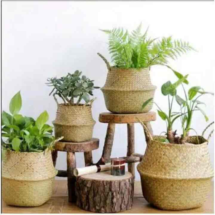 Belly Cover Pot Purun Natural