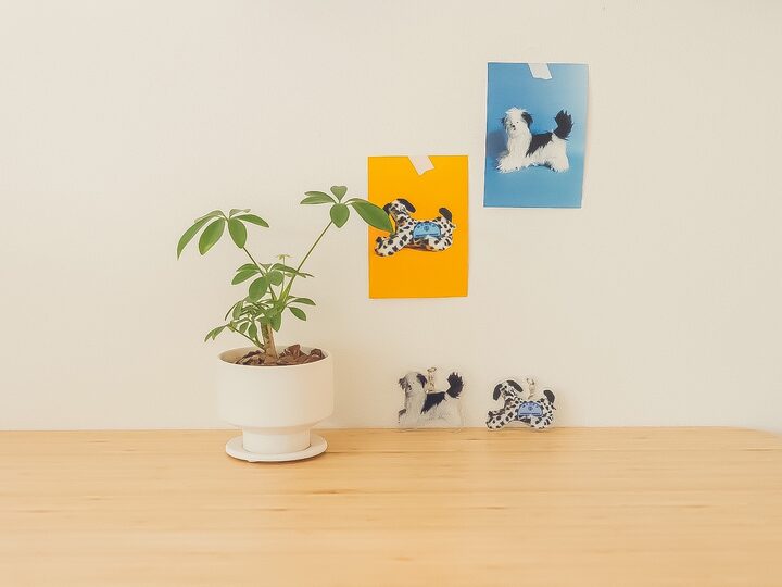 short form carousel card thumbnail