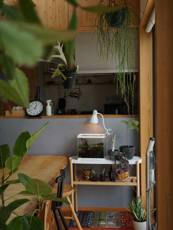 ナチュラルな色調のワンルームダイニング、植物とナイトテーブル上の水槽が配置された雰囲気のあるインテリア