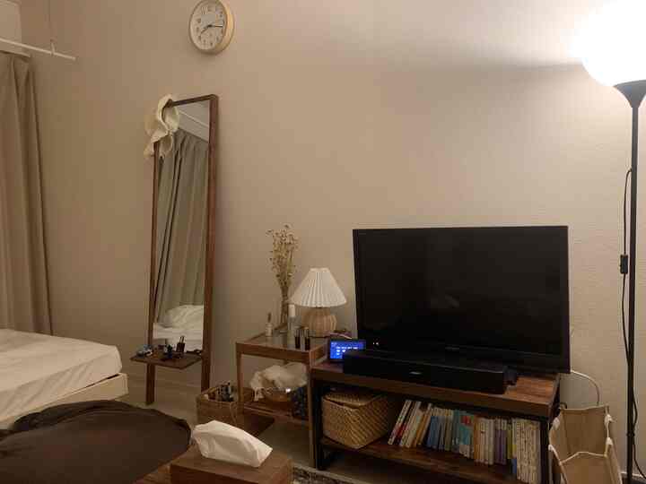 Beige and brown toned studio bedroom featuring TV stand, mirror, and floor lamp with cozy atmosphere