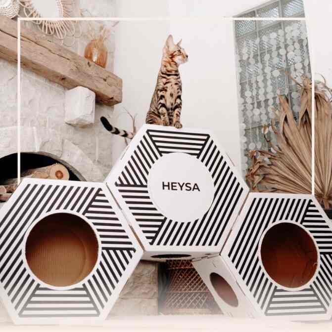 HEYSA X3 Rumah Kucing