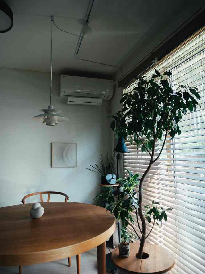 Wood-toned living and dining area with blinds filtering natural light, creating a calm and natural atmosphere