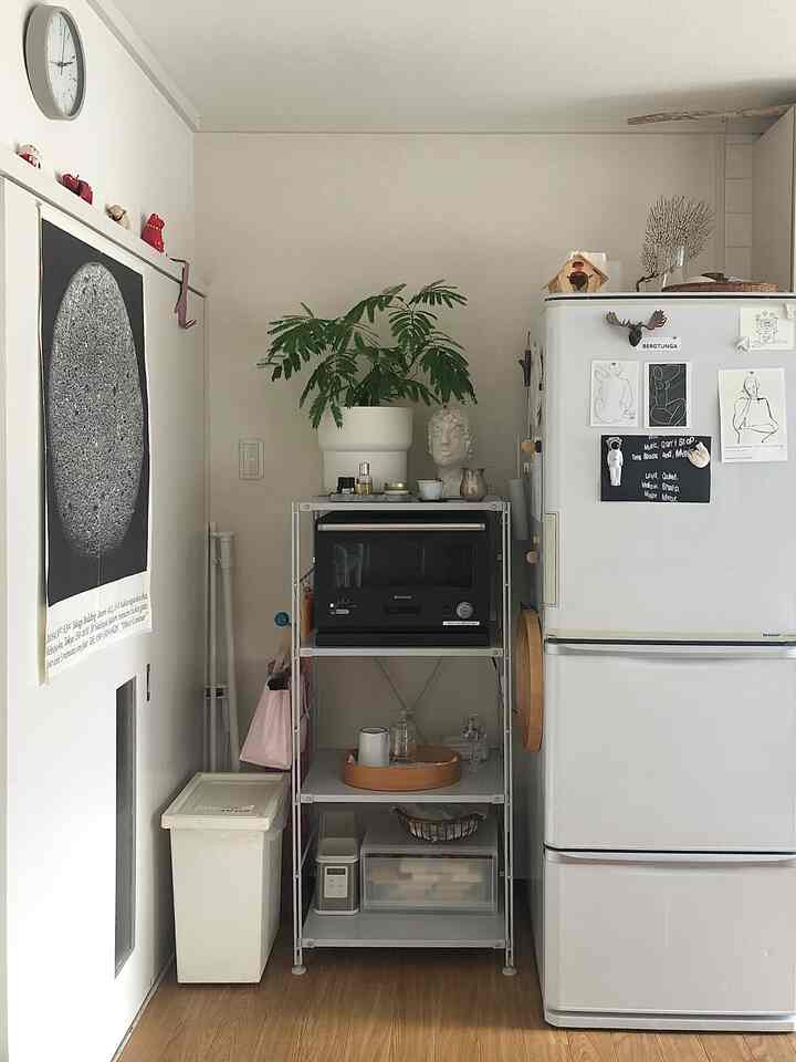 White and black toned kitchen space featuring a plant on a storage shelf, refrigerator, and a poster, creating a clean atmosphere