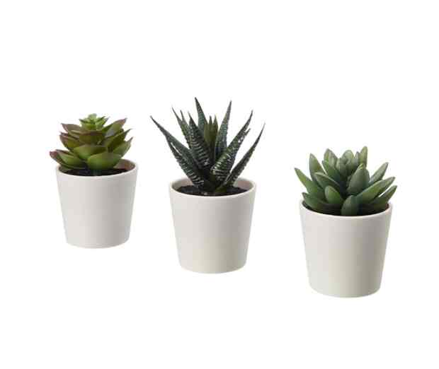 FEJKA, Tanaman tiruan dengan pot, dalam/luar ruang sukulen, 6 cm 3 –p
