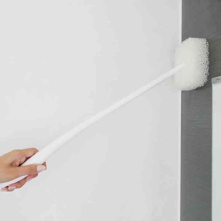 お風呂の柄付きスポンジＷ Ｗ605Ｗ